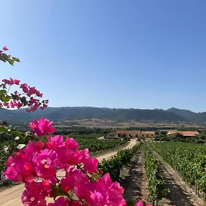 Campesi Casale Tra Le Vigne Bauernhof